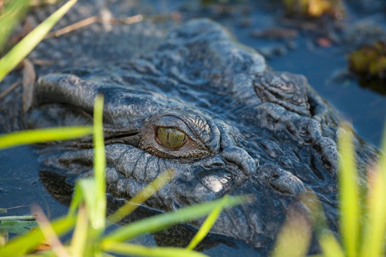 Kakadu Splendour 202021 Signature Package