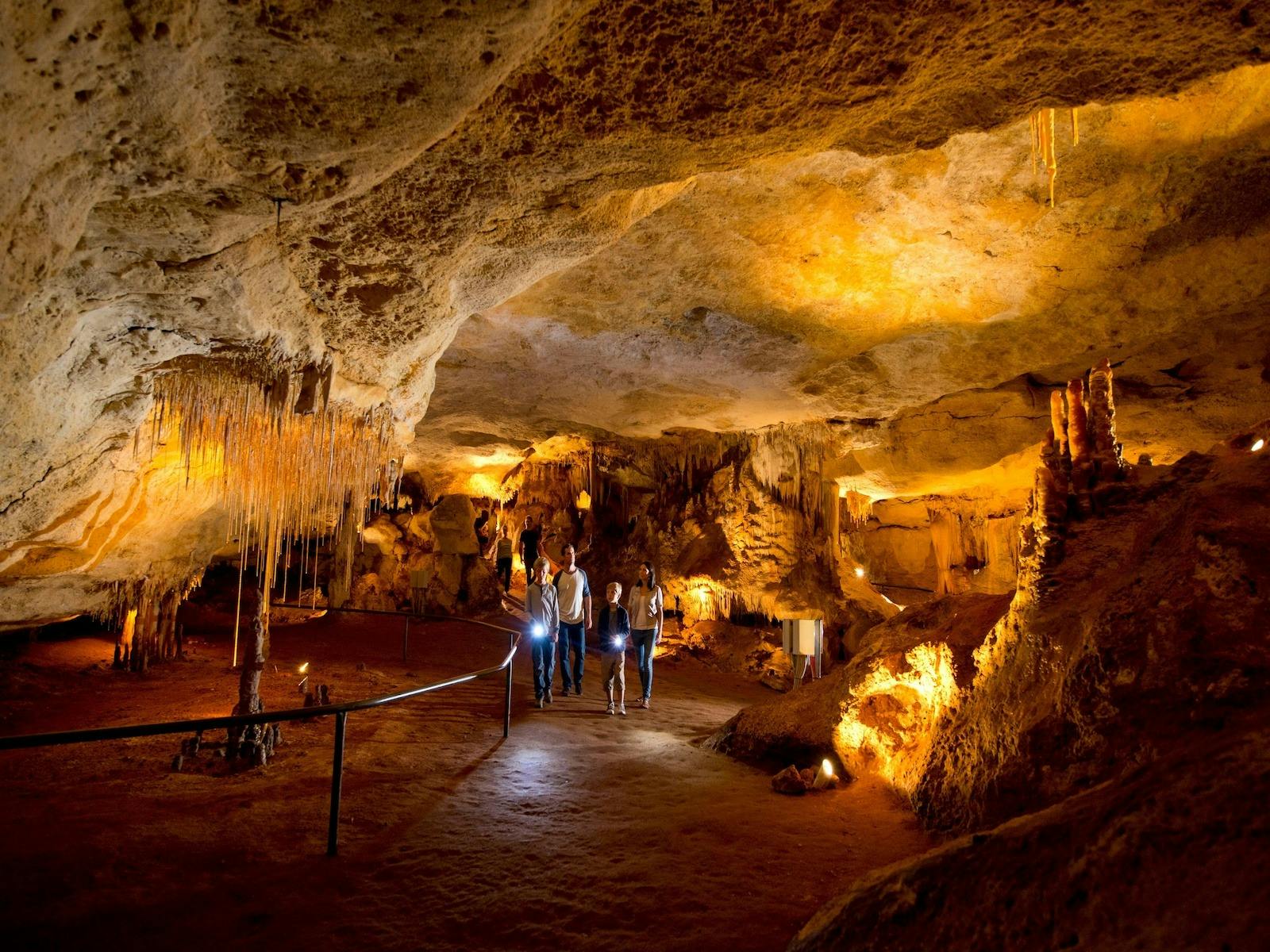 Explore cool, echoing chambers filled with ancient fossils, revealing secrets of Australia’s megafau