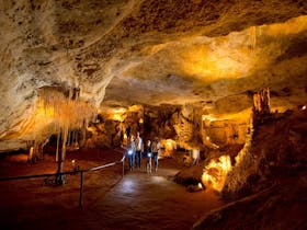 Explore cool, echoing chambers filled with ancient fossils, revealing secrets of Australiau2019s megafau