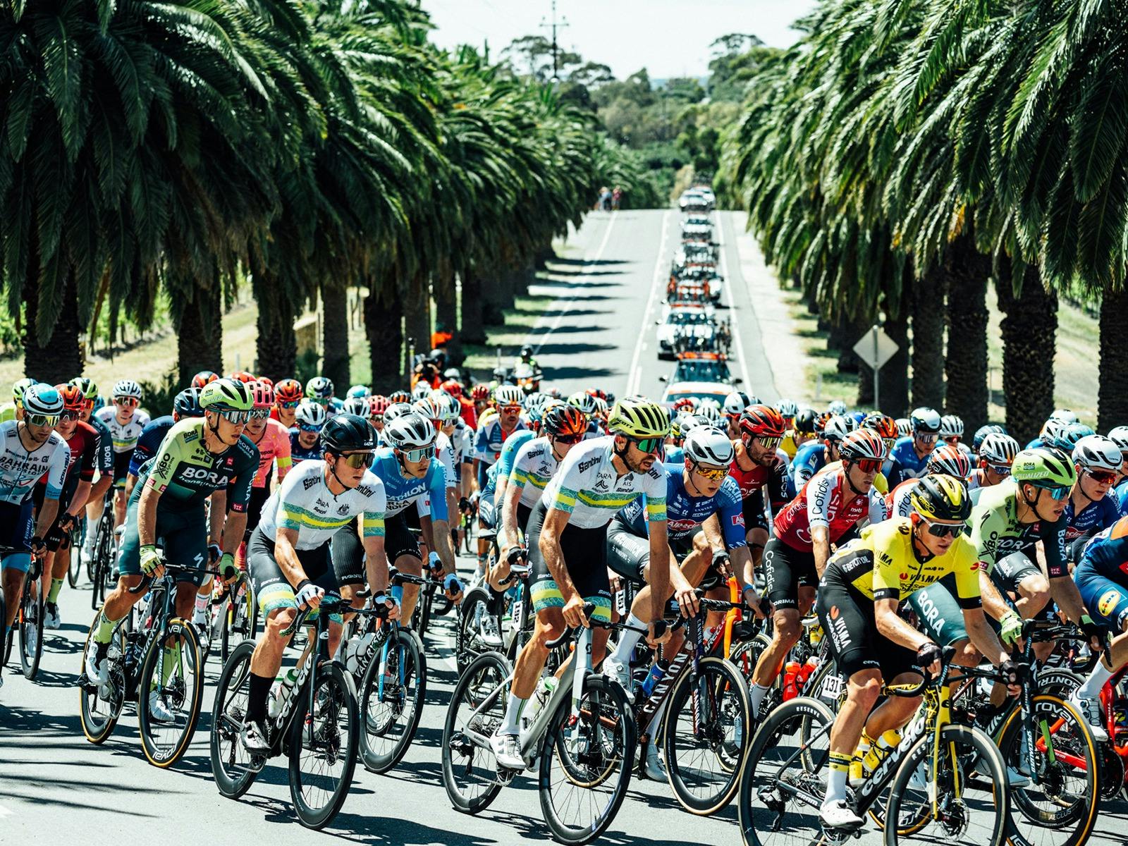 Santos Tour Down Under - Health Partners Men's Stage 2