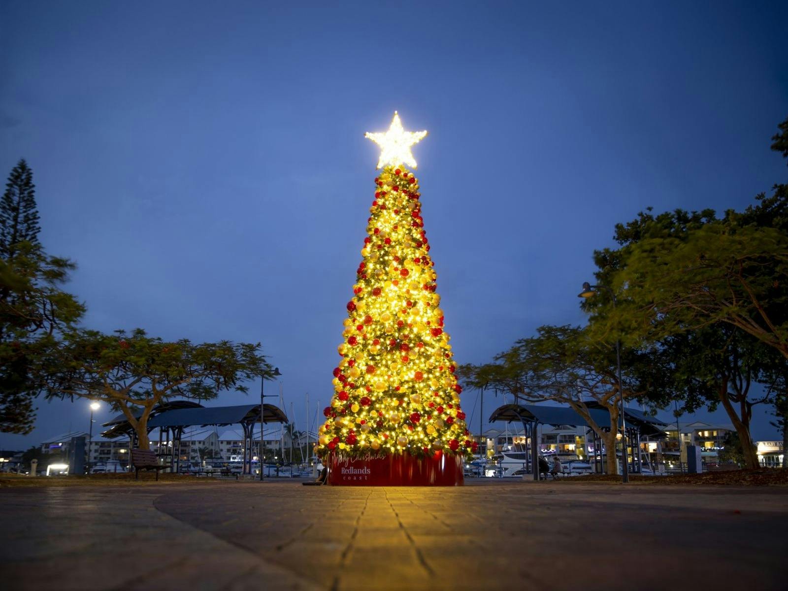 Redlands Coast Lighting of the Christmas Tree