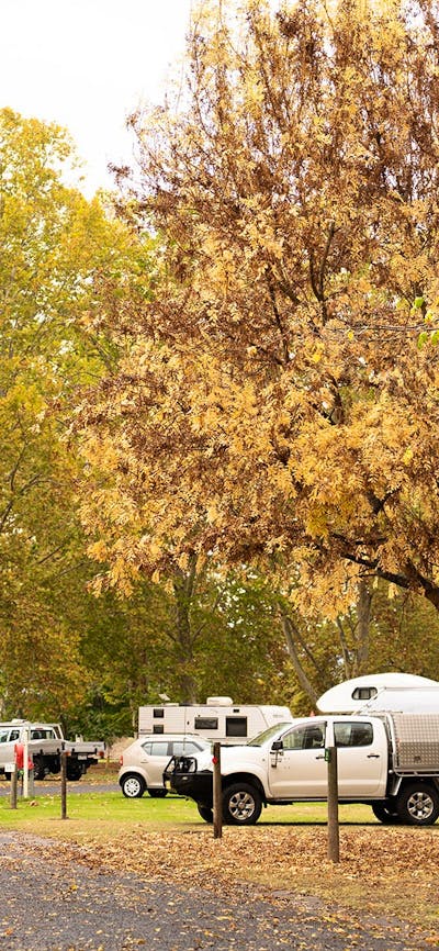 camping at Reflections Tumut River