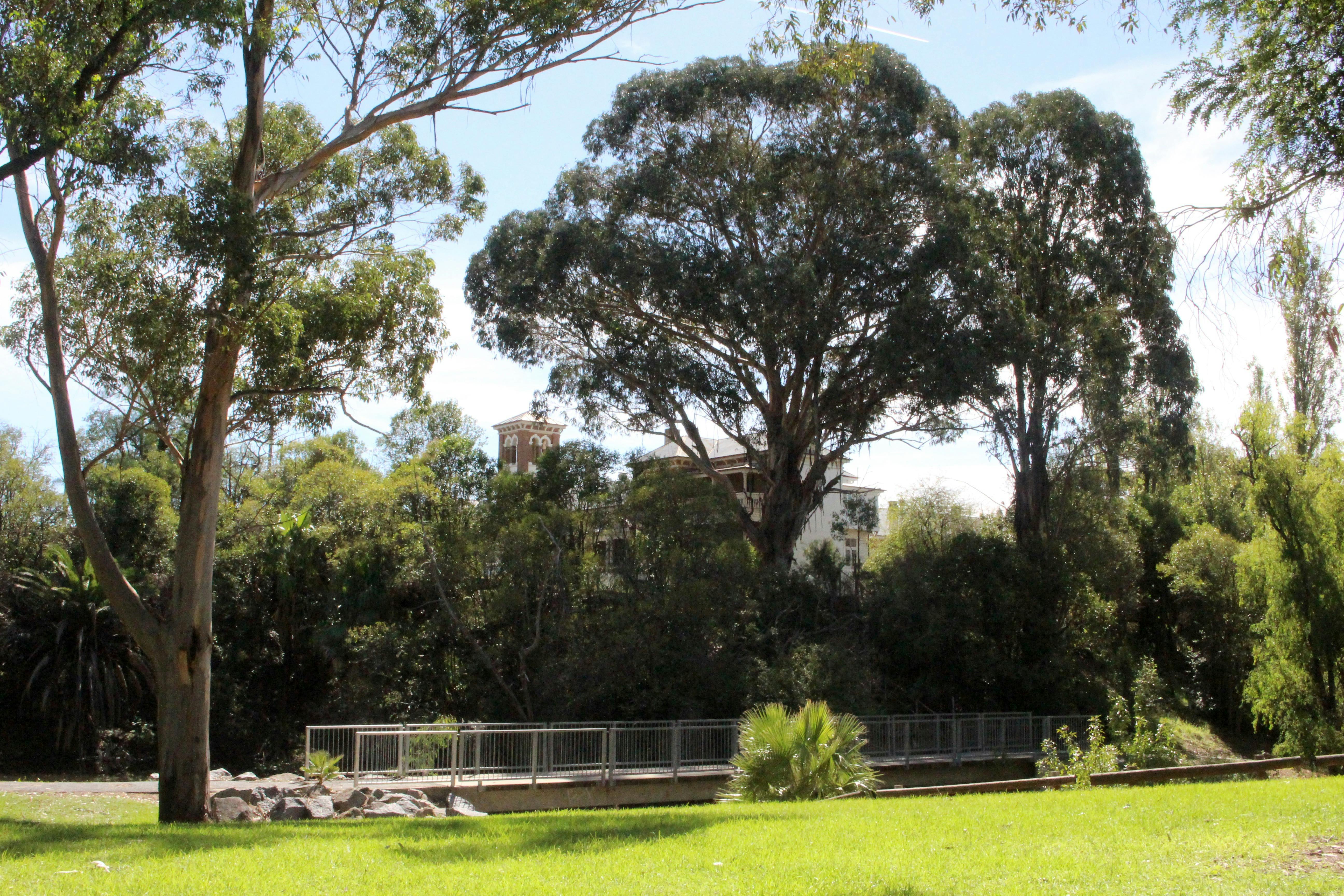 Arboretum Park views