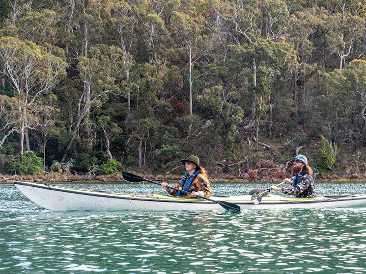 Two guests kayaking along the Pambula River