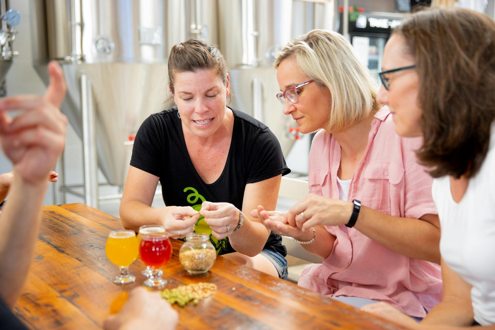 Discussing beer ingredients and the brewing process