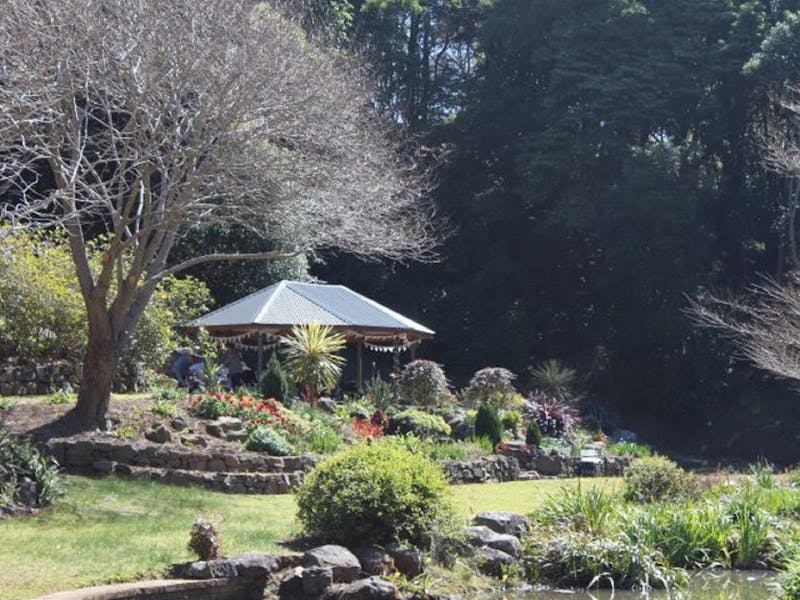 Illawarra Rhododendron Gardens Nsw Holidays