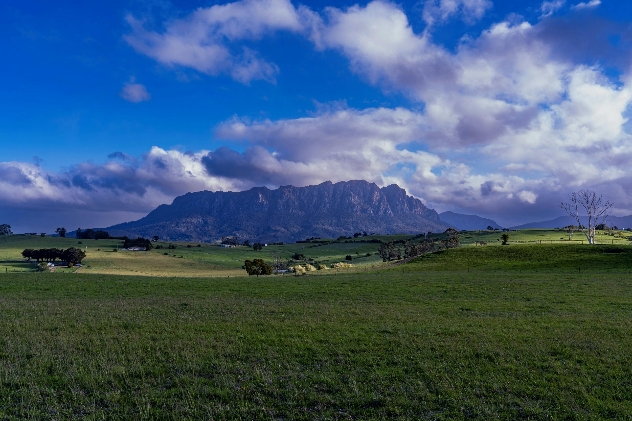 Rolling green hills leading up to the majestic Mount Roland in Sheffield, Tasmania