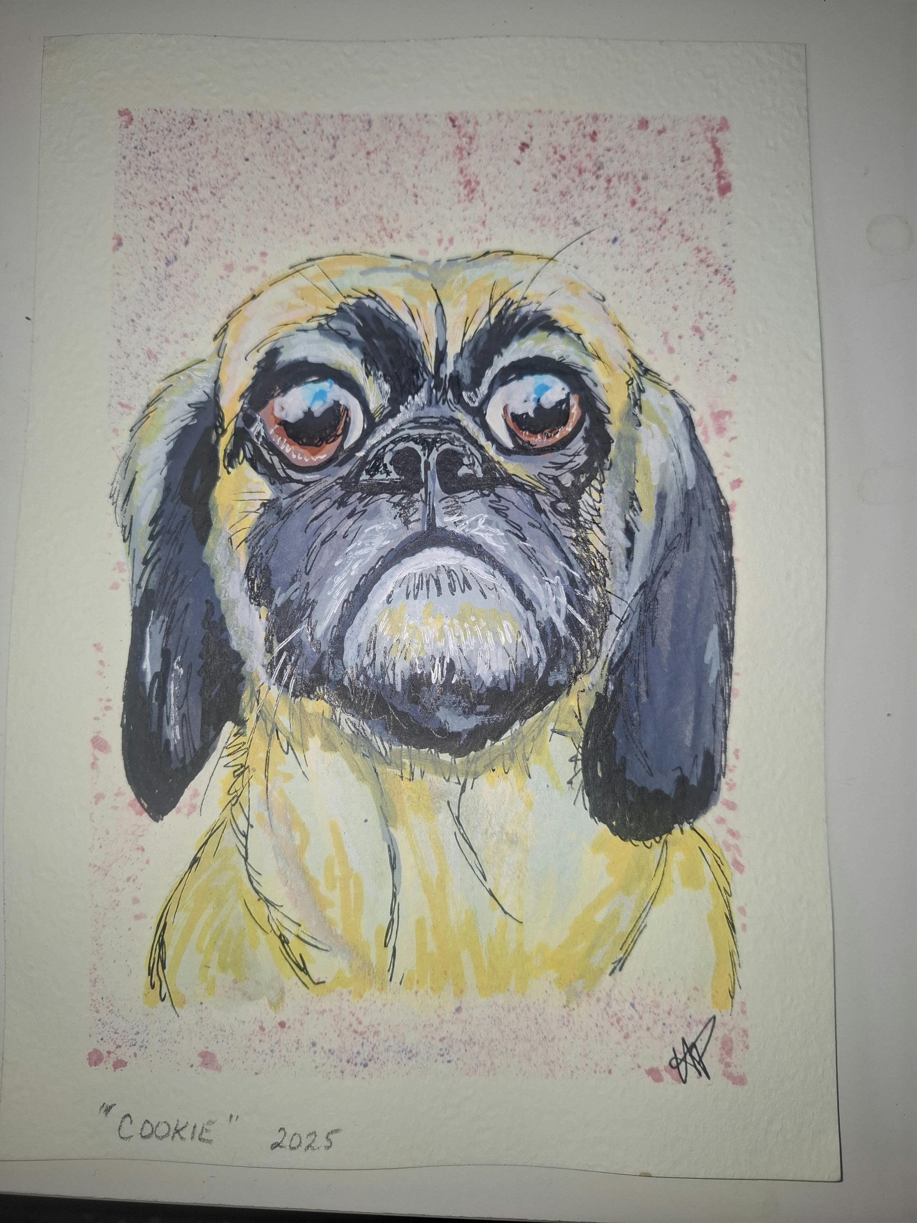 Brew Dog of the Month at Stony Creek Brewing Company