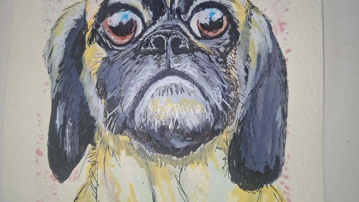 dog painting dog painting