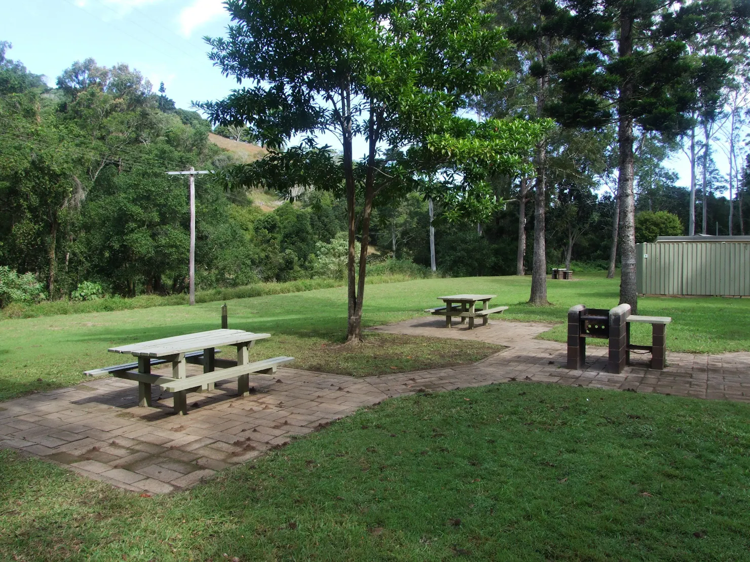 picnic tables are  set amongst tall trees in open grassy area.