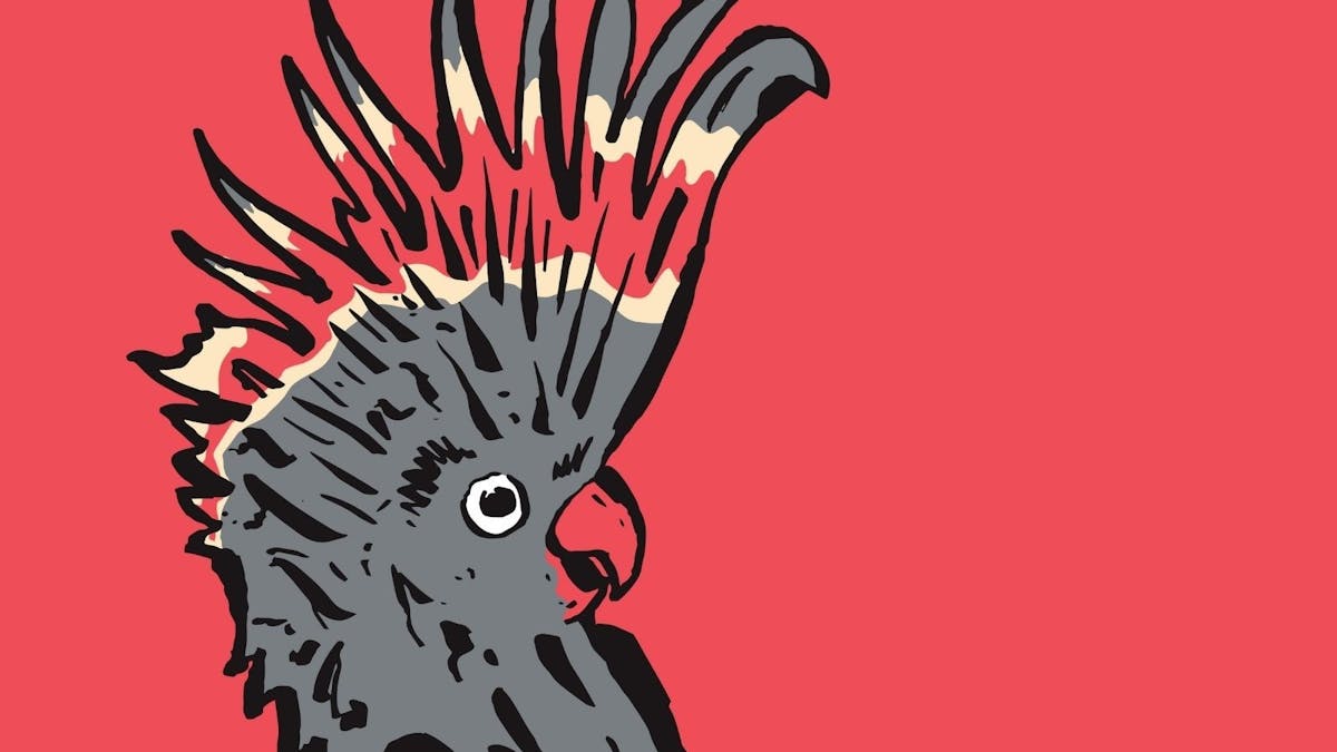 Melbourne International Comedy Festival Roadshow