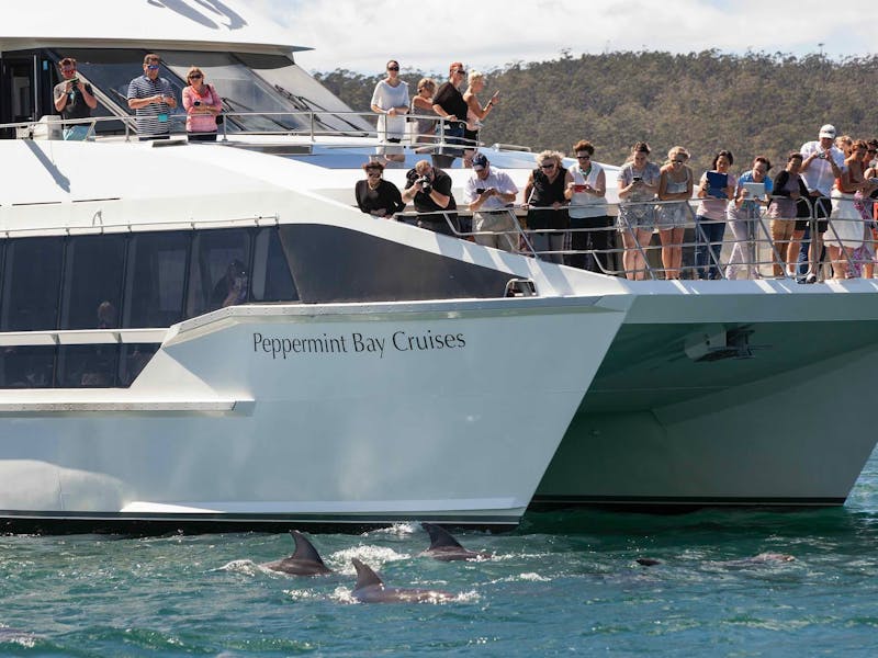 Peppermint Bay Cruises