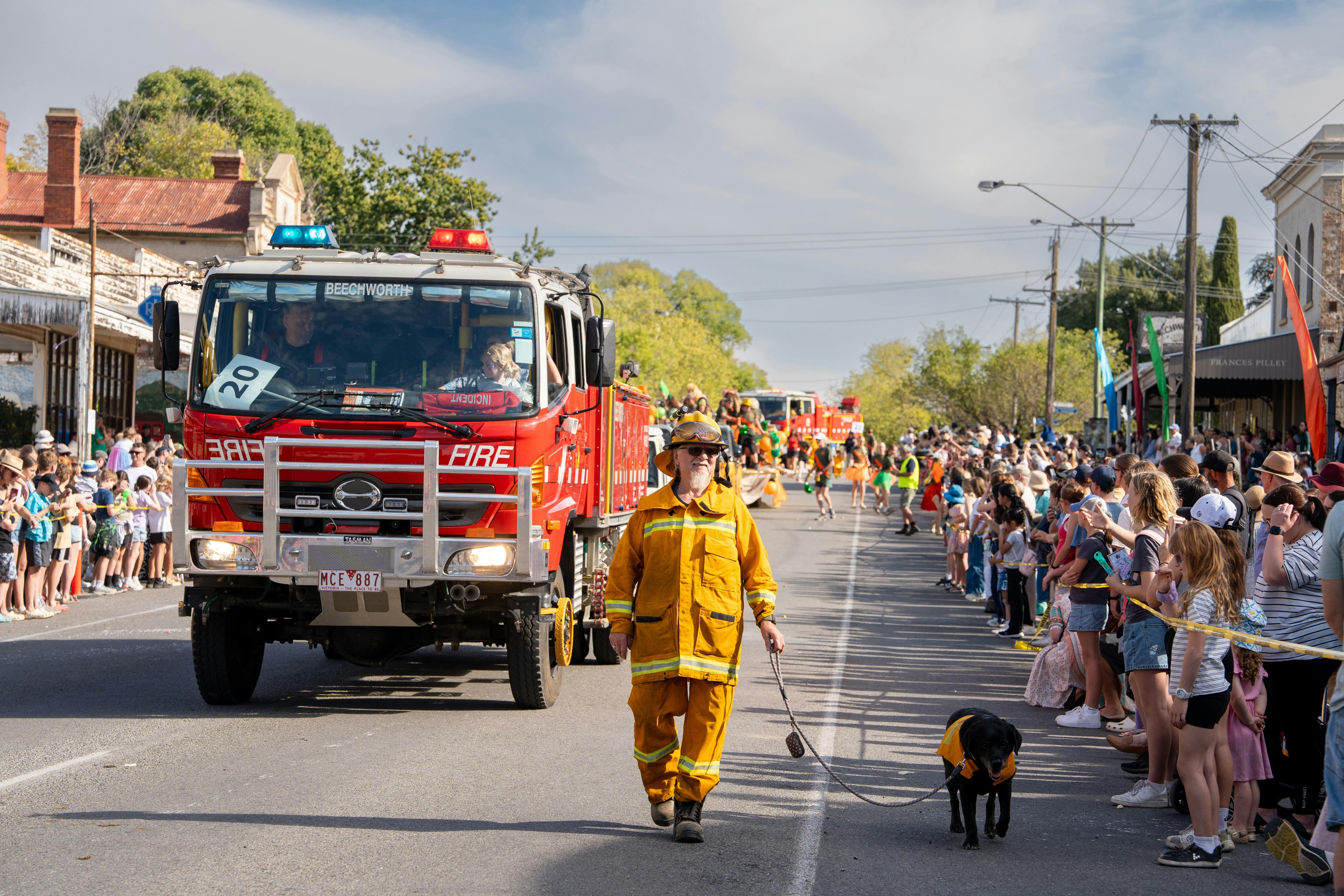 CFA firefigjter walking with black labrador along side local firetruck