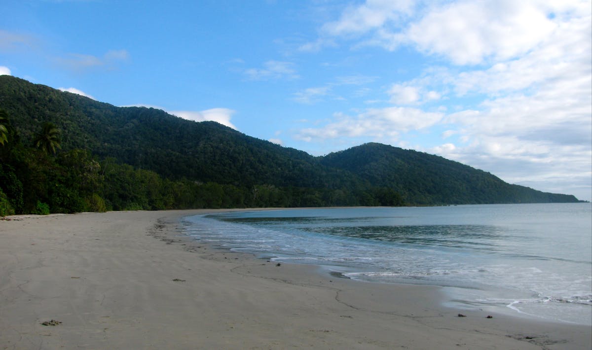 Daintree Wonder Tours