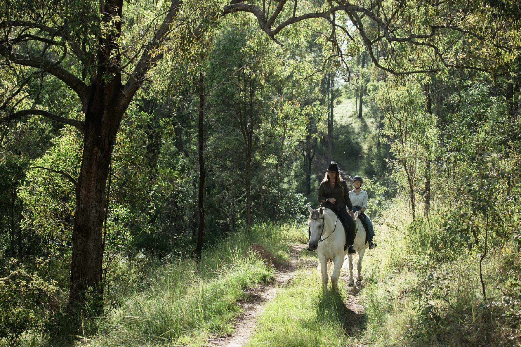 ザ ランチ オン クラレンス: 乗馬と馬に関する体験