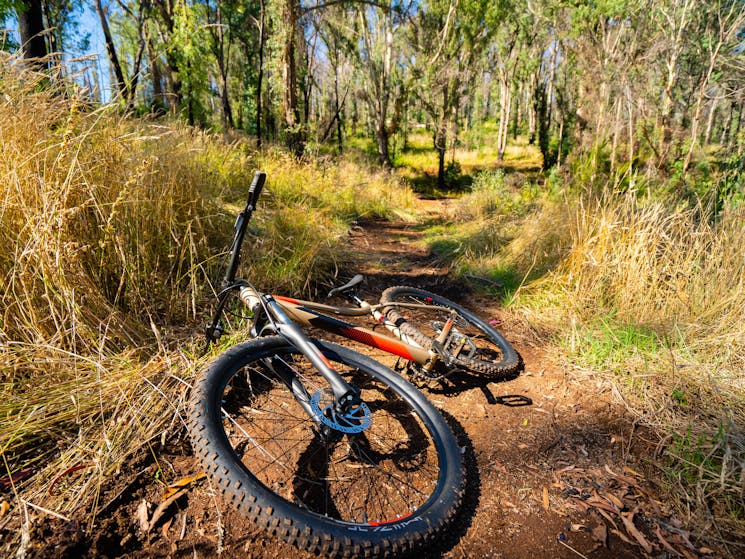 MTB Pump Tracks