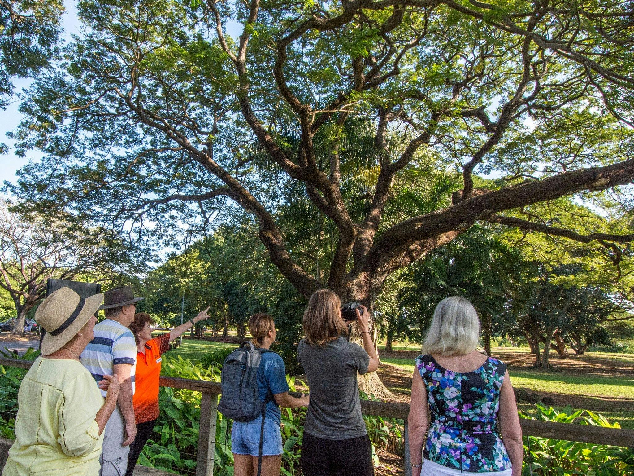 Walk the Botanic Gardens