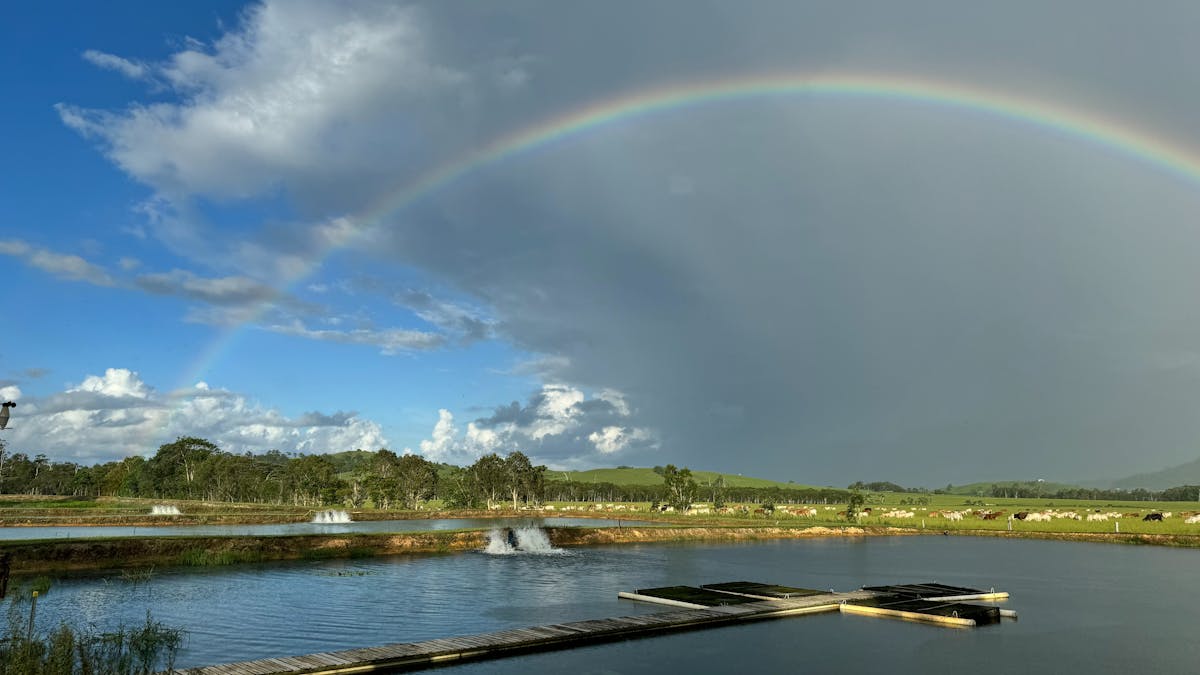 Rainbow