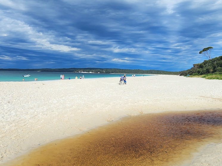 Jervis Bay Tour from Sydney