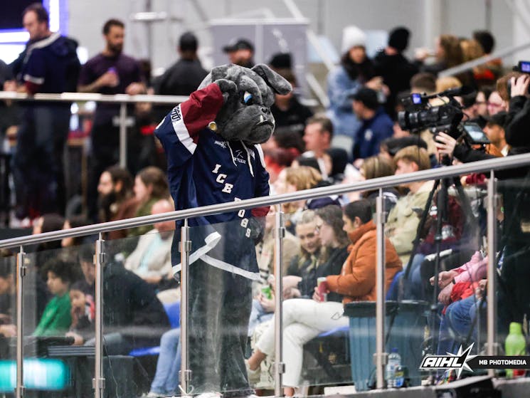 Ice Dog mascot Bruiser salutes the cameras. Bruiser is a grey bulldog