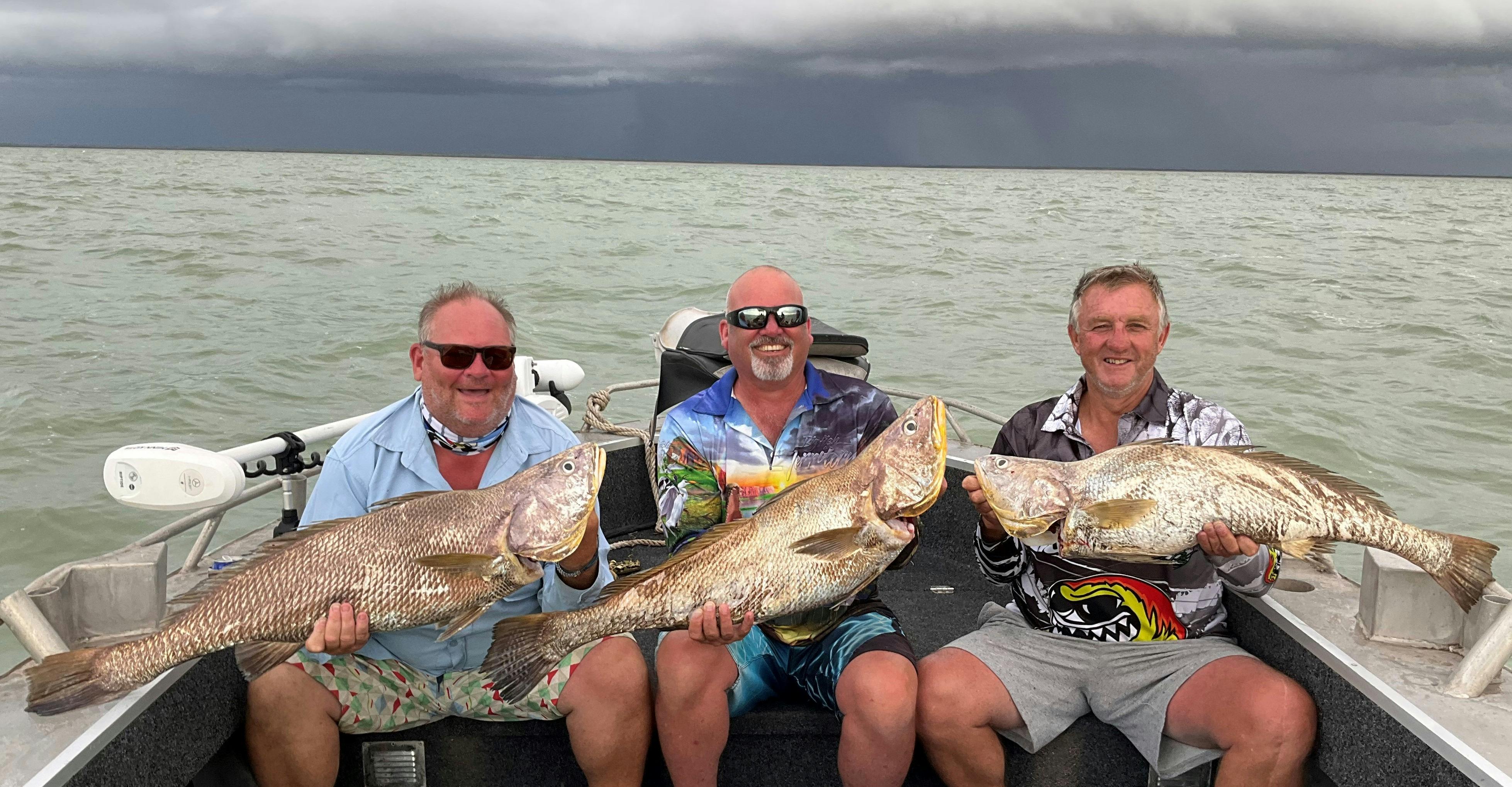 barramundi