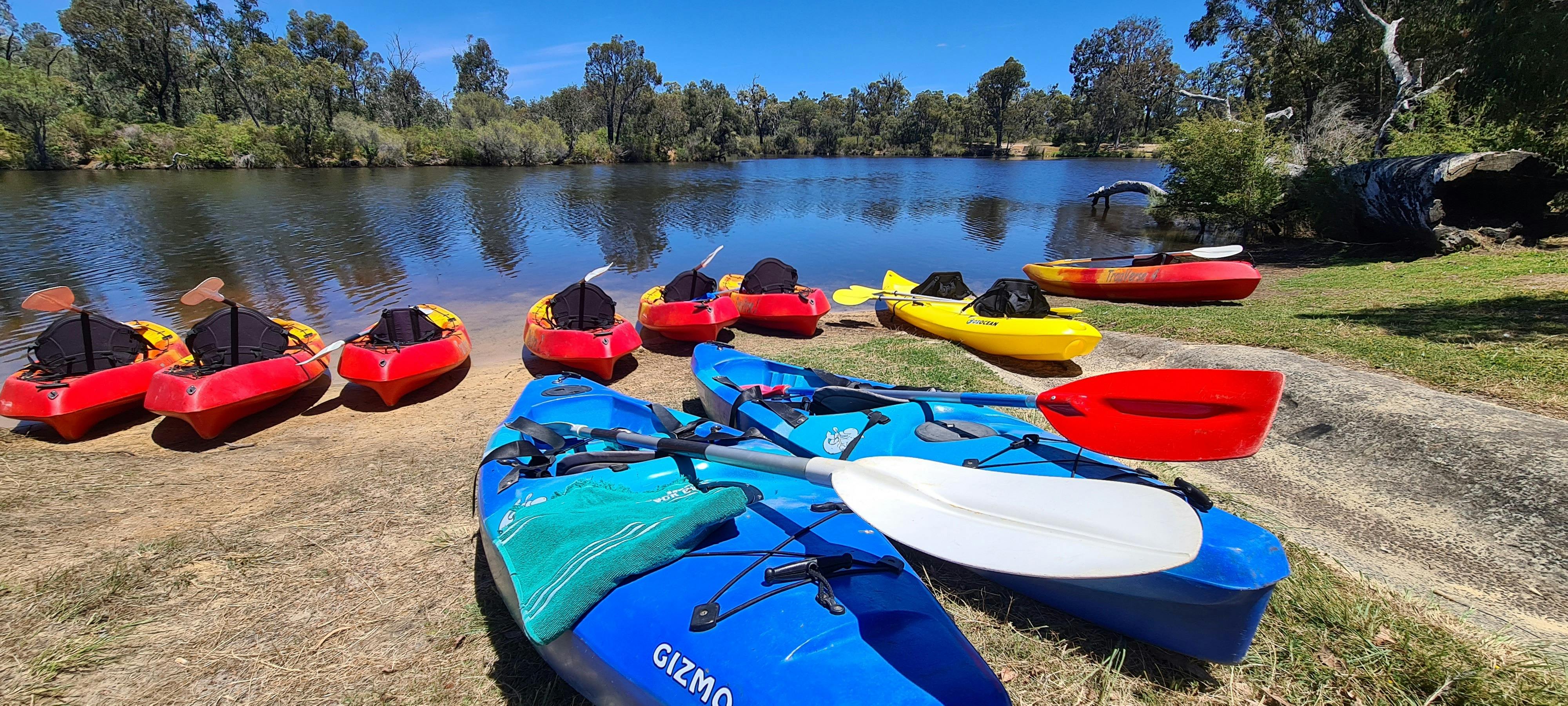 Collie Hike & Paddle Gourmet Grazing Experience
