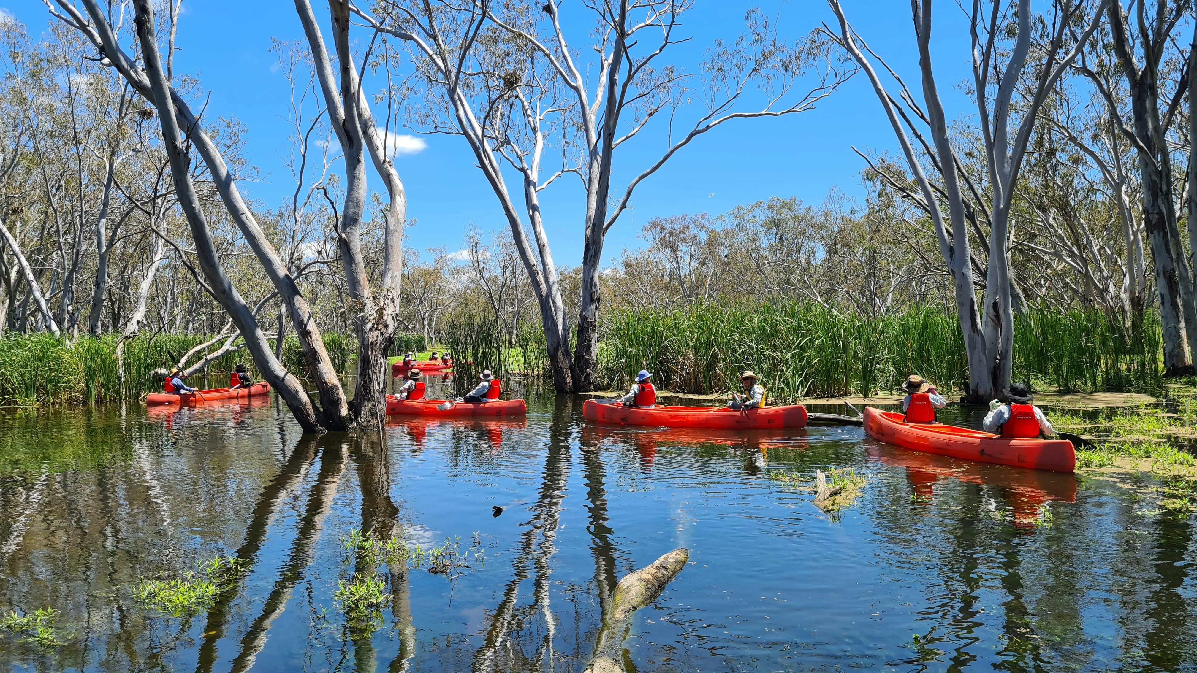 Macquarie Marshes Kayak Tours