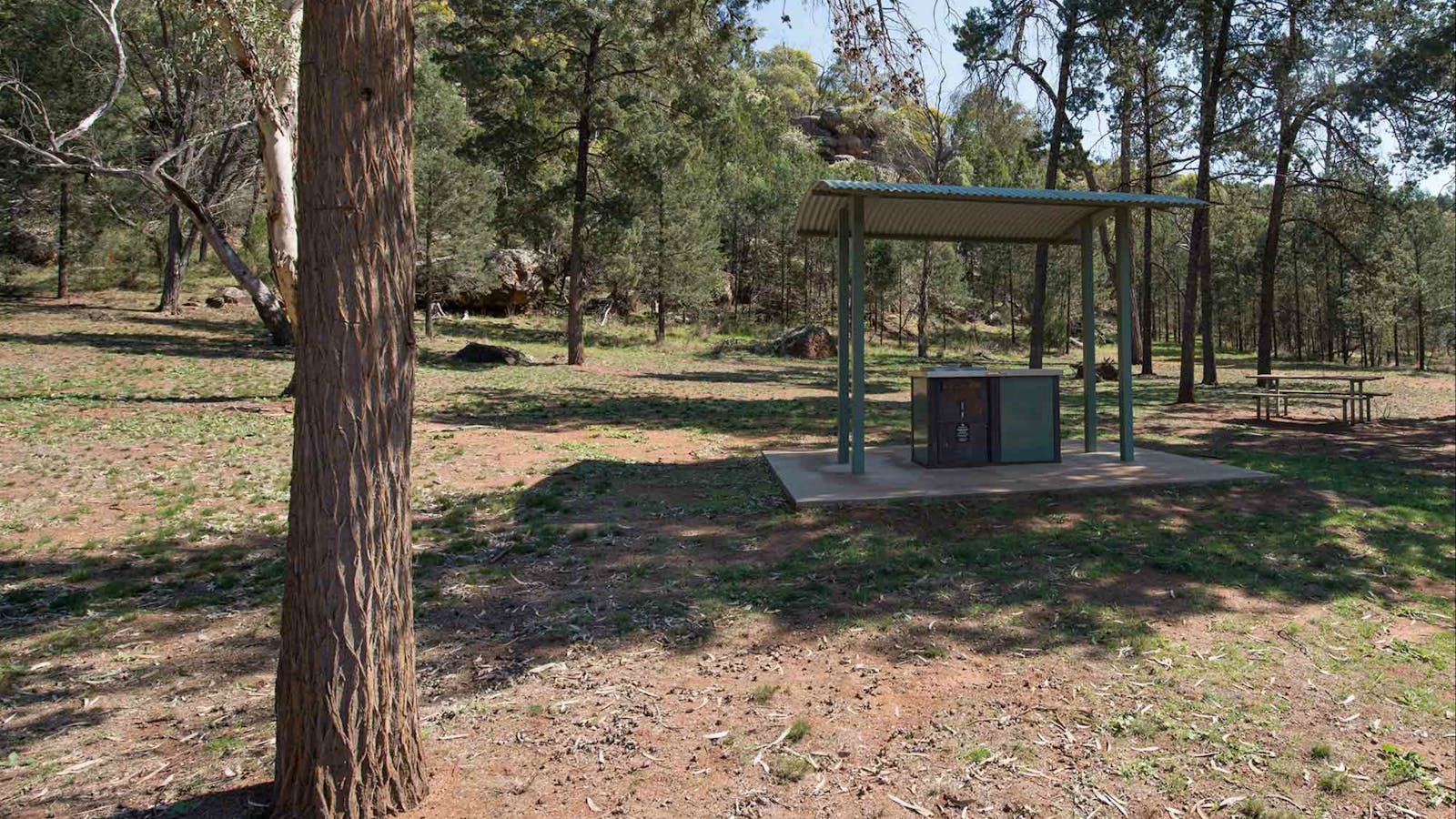 The Pines Picnic Area at Cocoparra National Park
