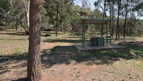 The Pines Picnic Area at Cocoparra National Park