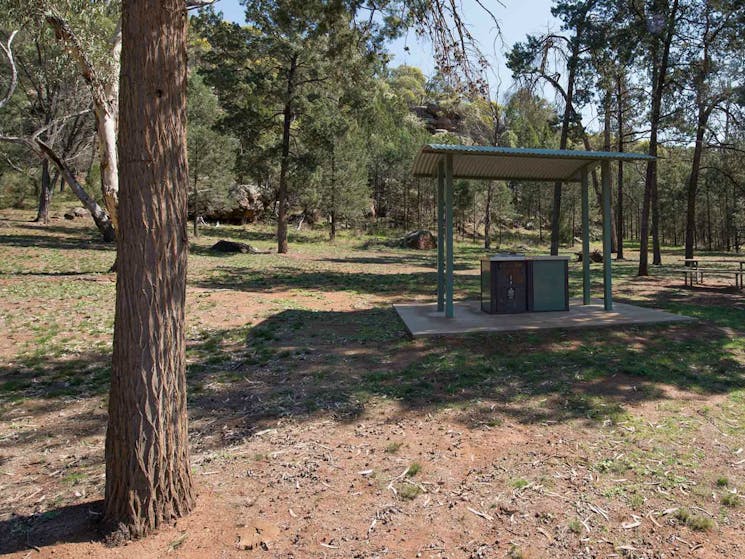 The Pines picnic area, Cocoparra National Park. Photo: John Spencer