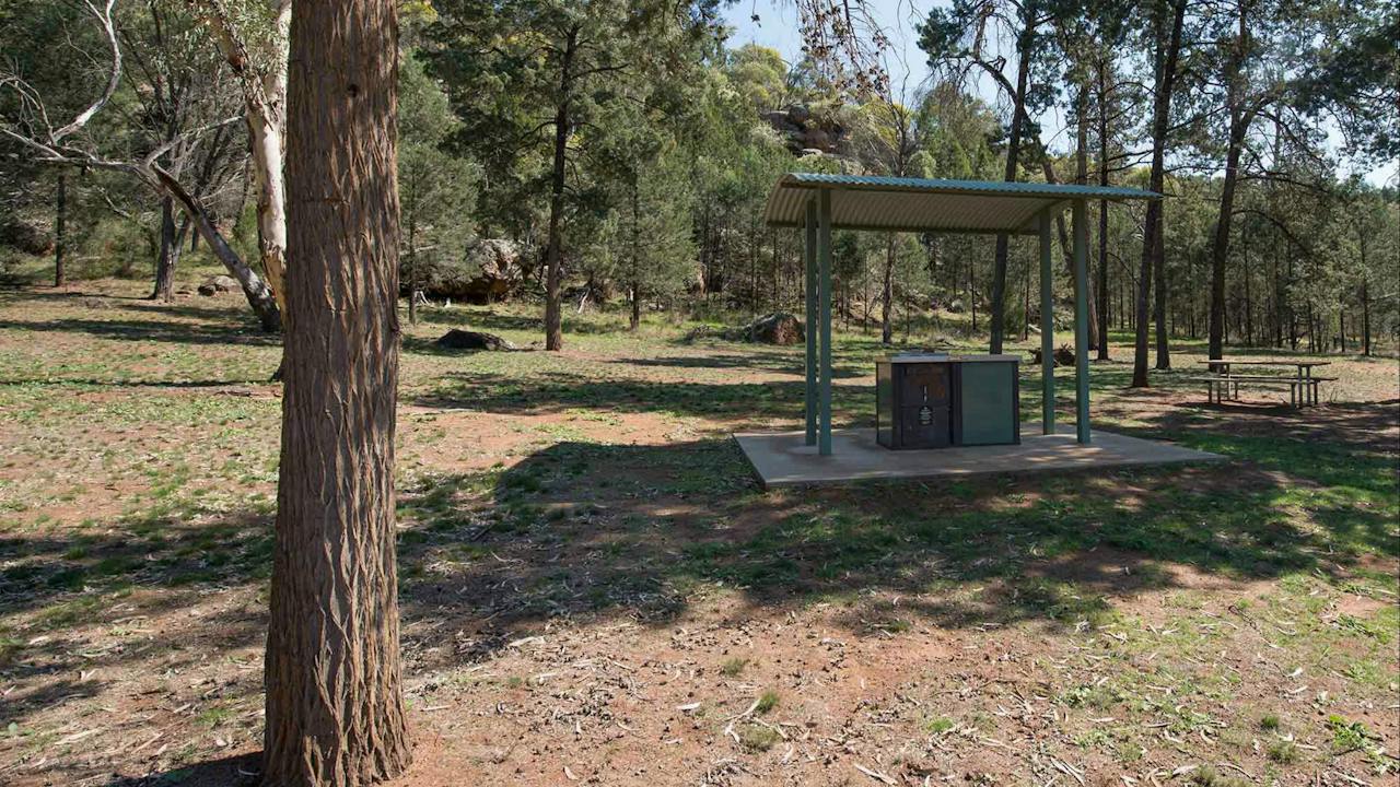 The Pines Picnic Area at Cocoparra National Park