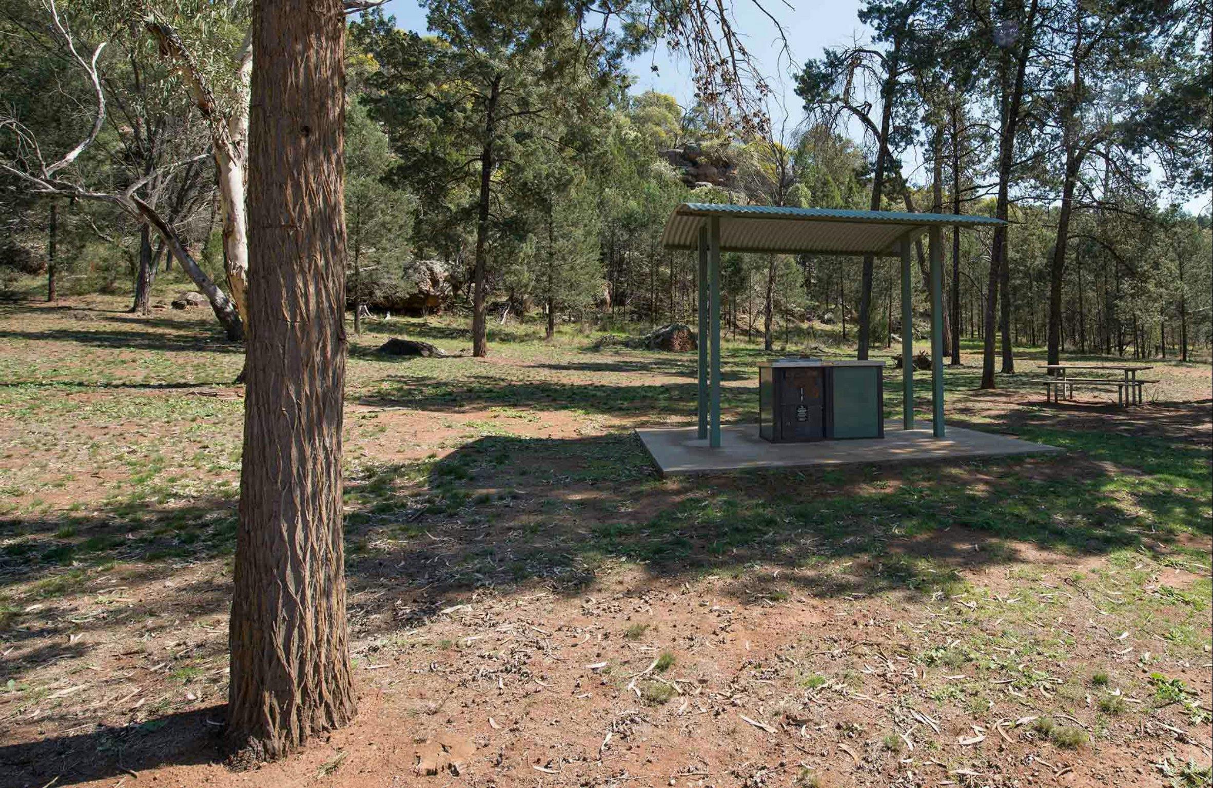 The Pines Picnic Area NSW Holidays & Things to Do