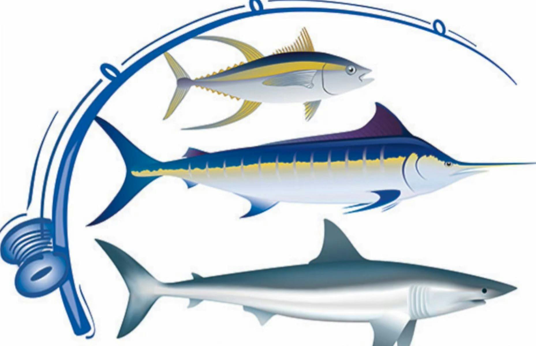 谢尔哈伯钓鱼比赛