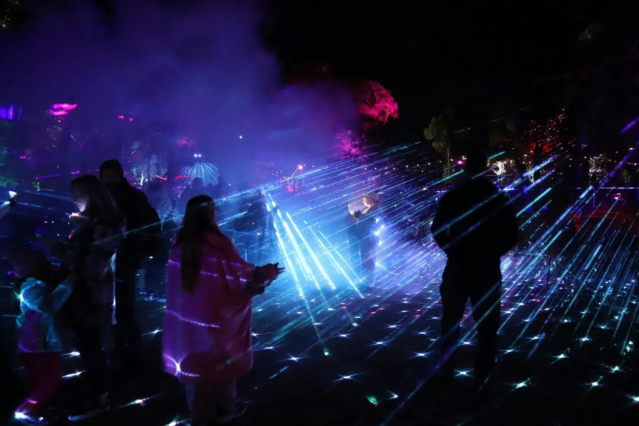 The Enchanted Sanctuary