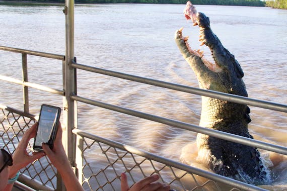 Croc Spot Tours - Jumping Crocodile Encounters.