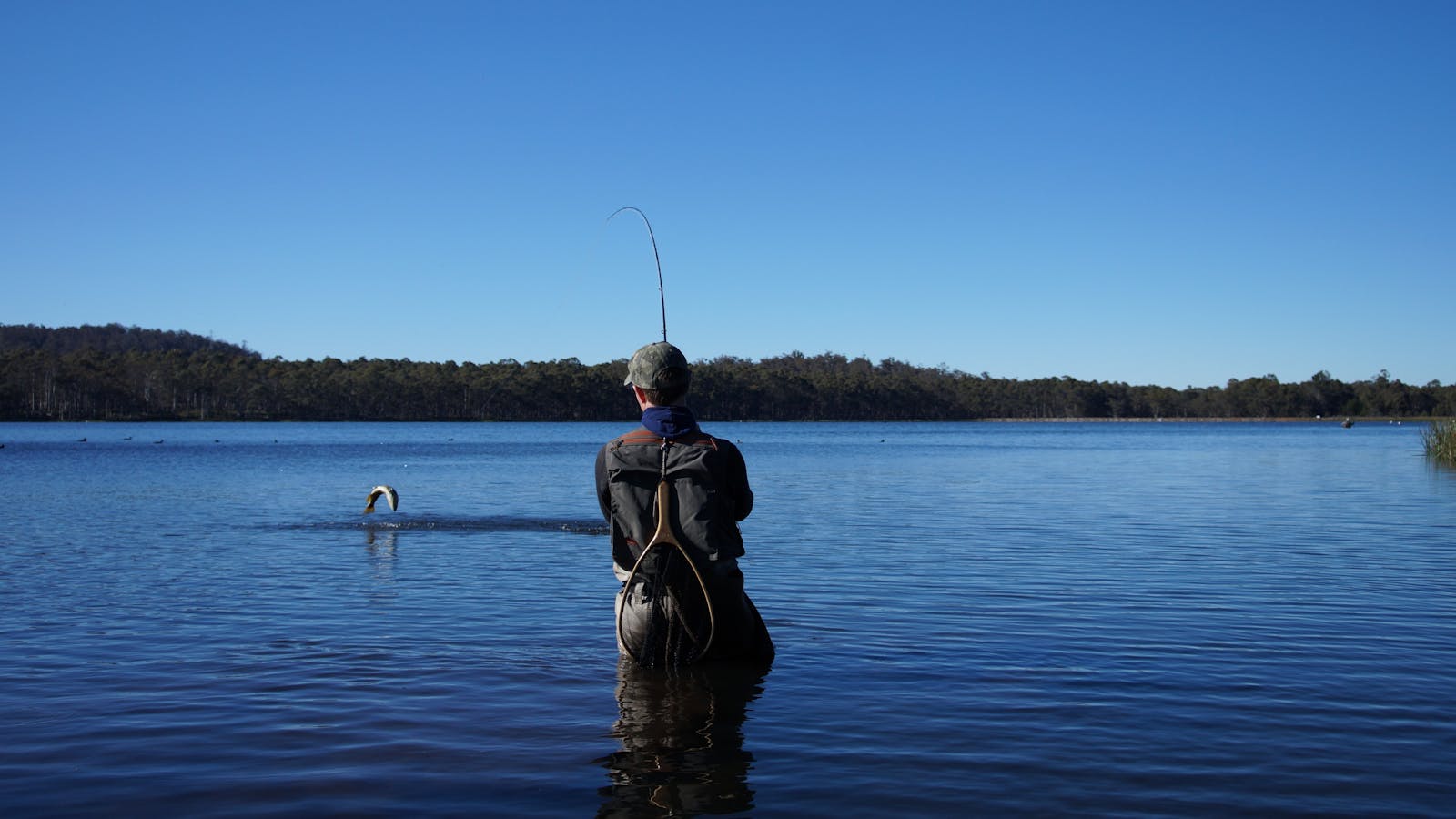 Dry fly fishing in Tasmania