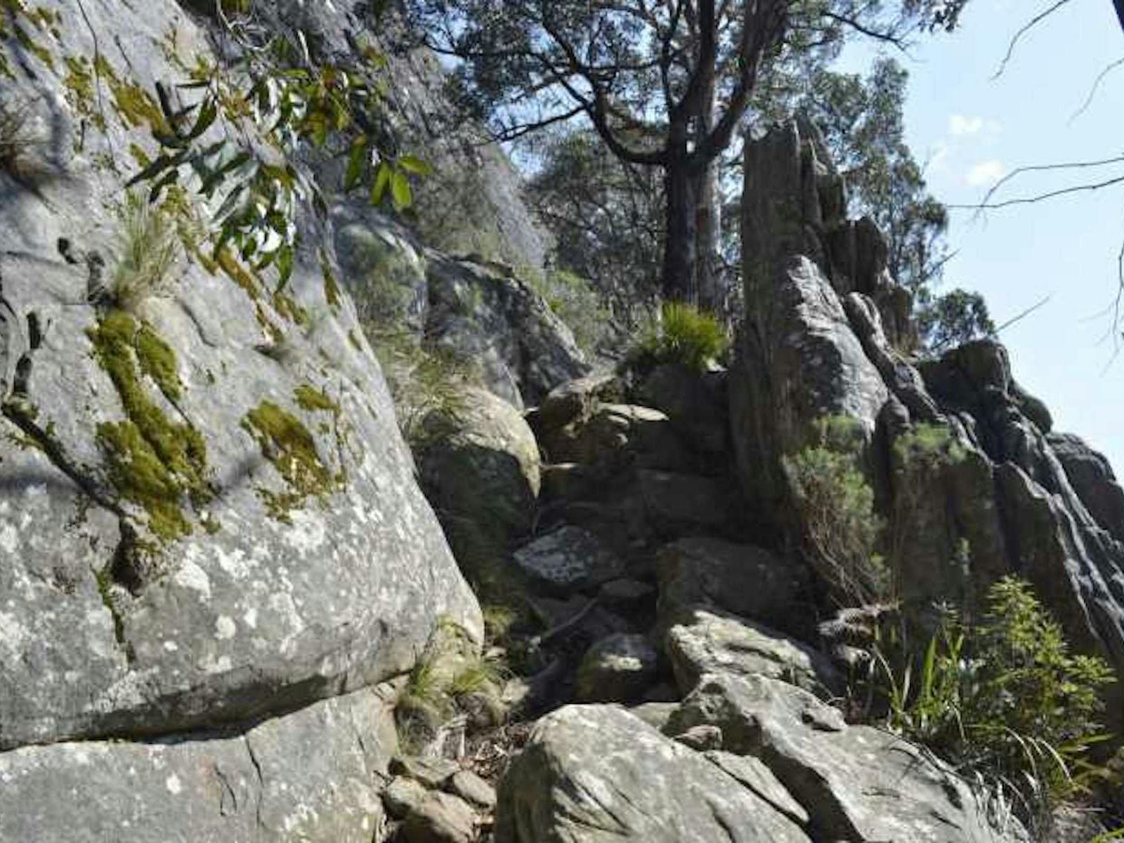 Cathedral Ranges Southern Circuit, visityarravalley.com.au