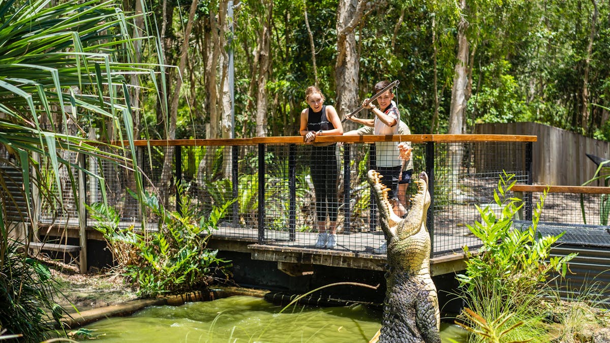 Hartley's Crocodile Adventures