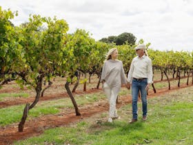 A couple walking alongside some Coonawarra vines
