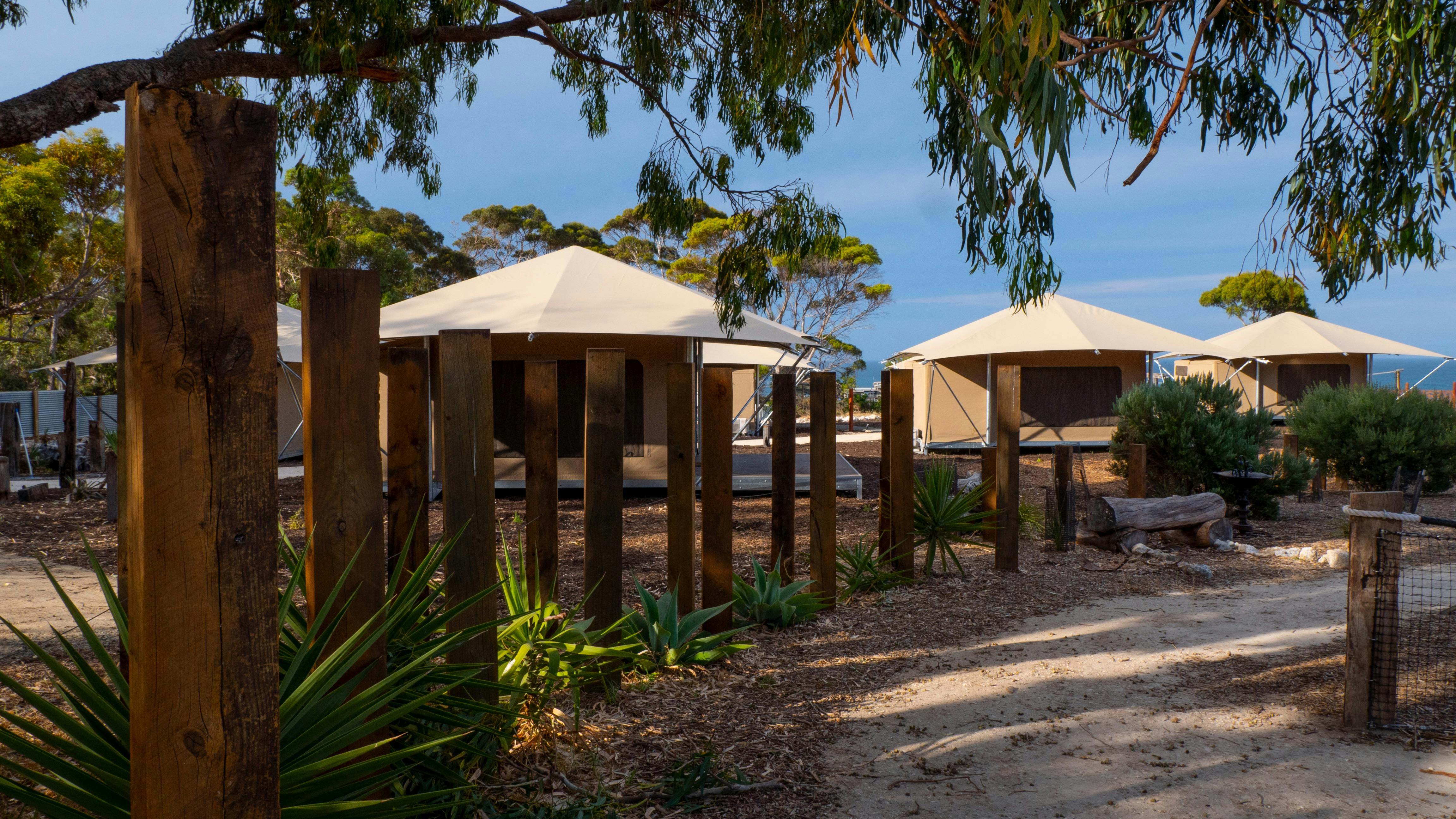Self-Drive Package:  Three Day Glamping & The Fig Tree