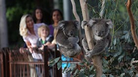 Melbourne Zoo