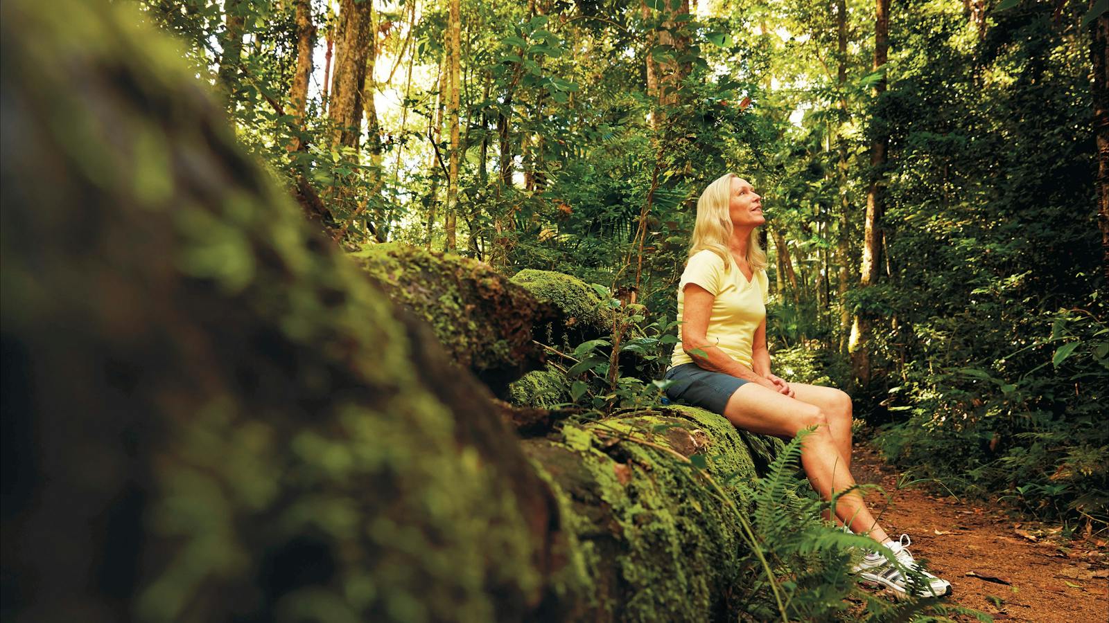 Discover nature on a walk in Eungella National Park.