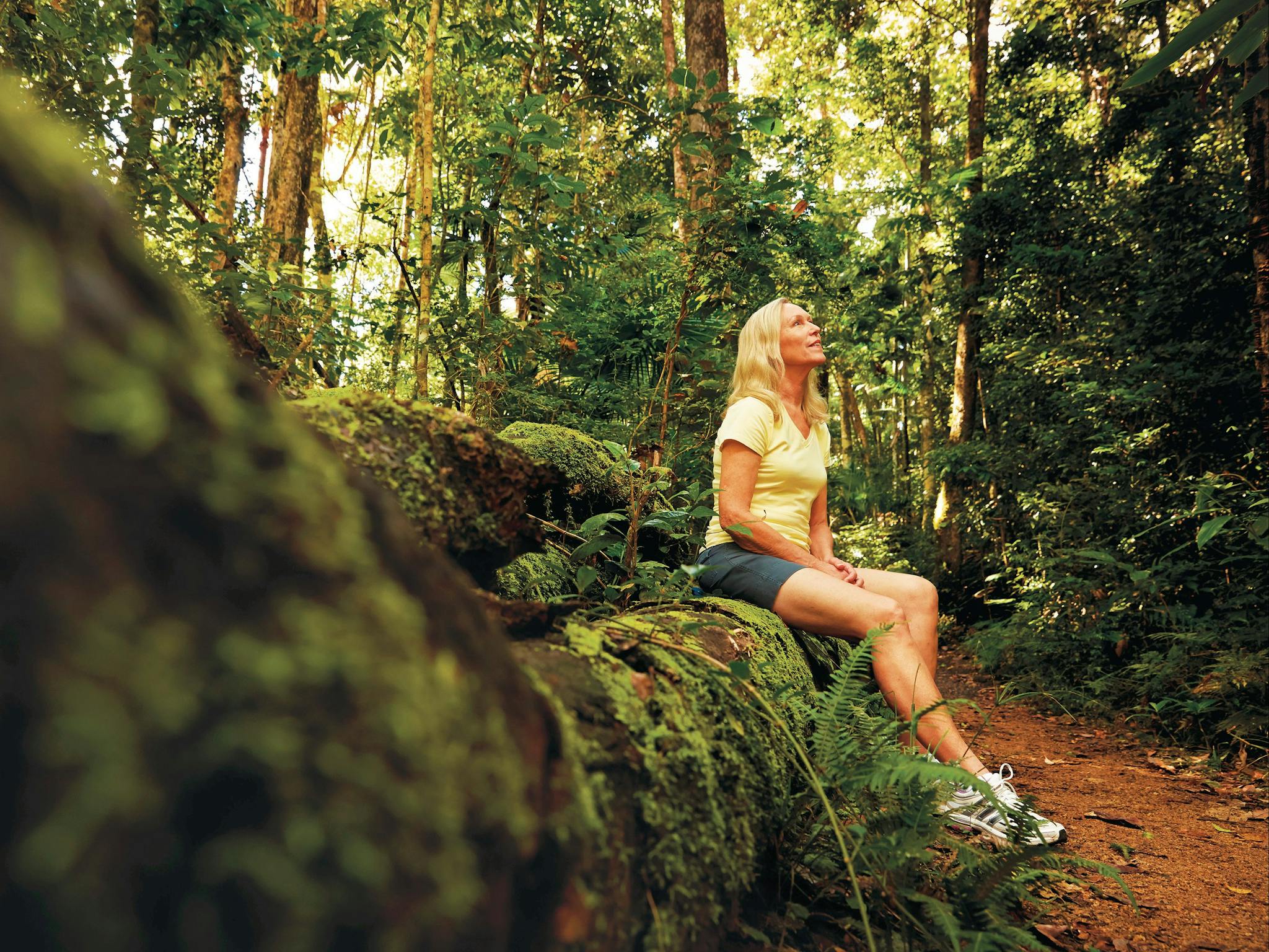 Discover nature on a walk in Eungella National Park. Discover nature on a walk in Eungella National Park.