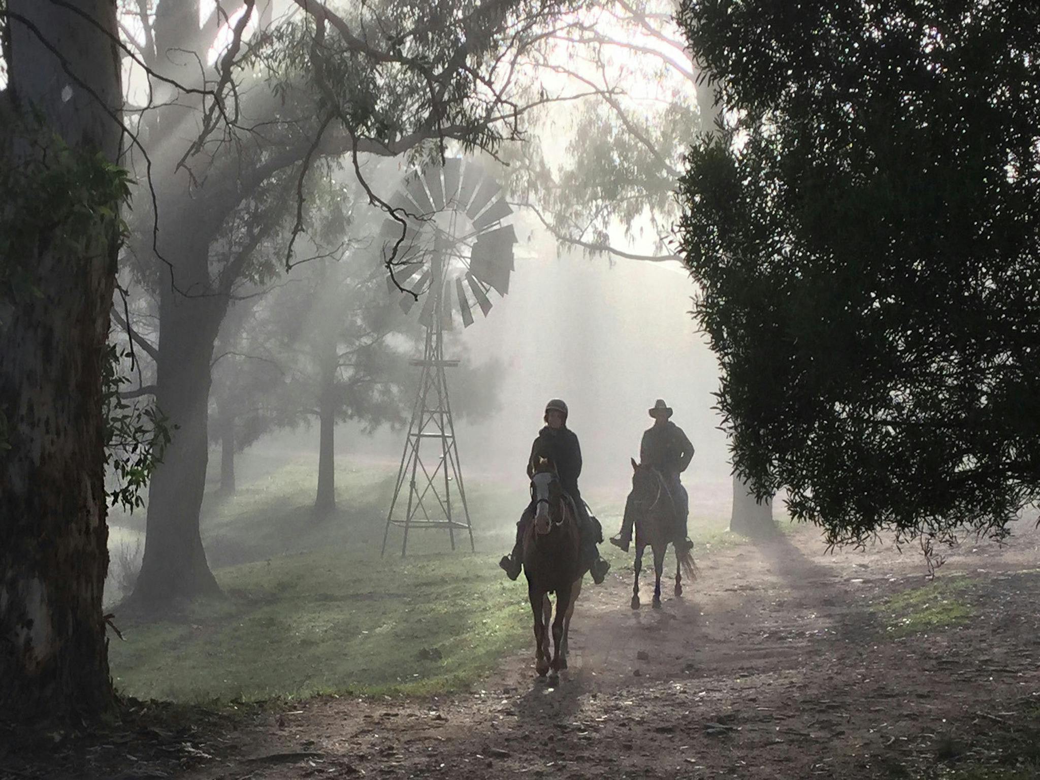 Early misty morning ride