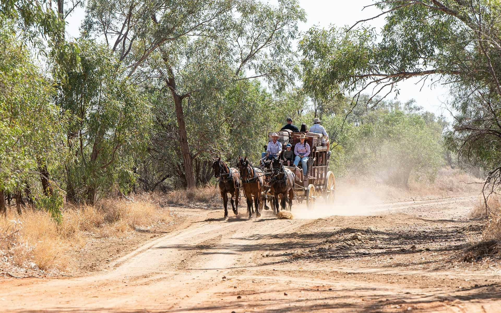 A Cobb and Co stagecoach with guests, kicking up dust on the track