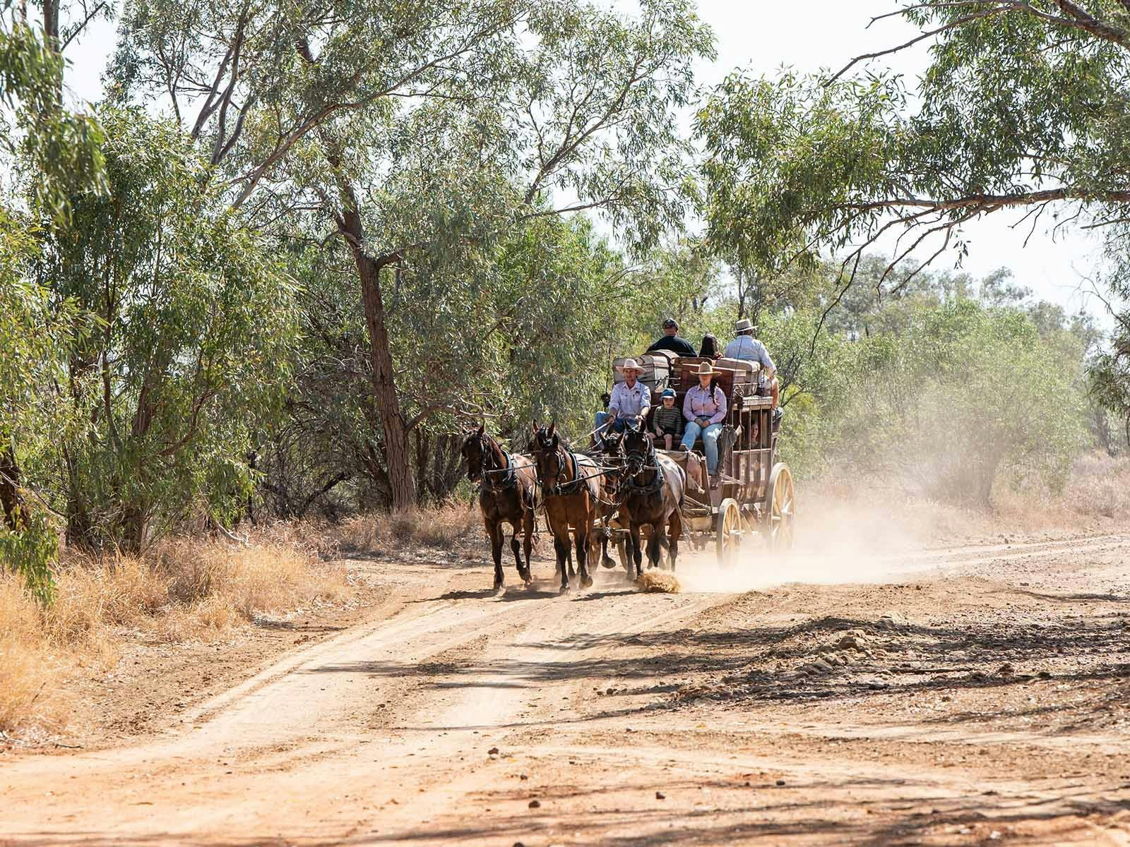 A Cobb and Co stagecoach with guests, kicking up dust on the track A Cobb and Co stagecoach with guests, kicking up dust on the track