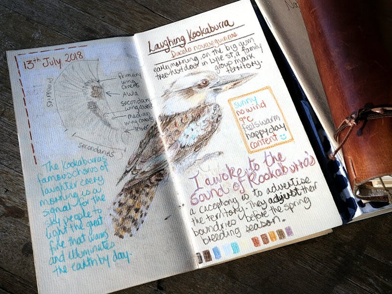 Image for Nature Journalling with Anna Barnes