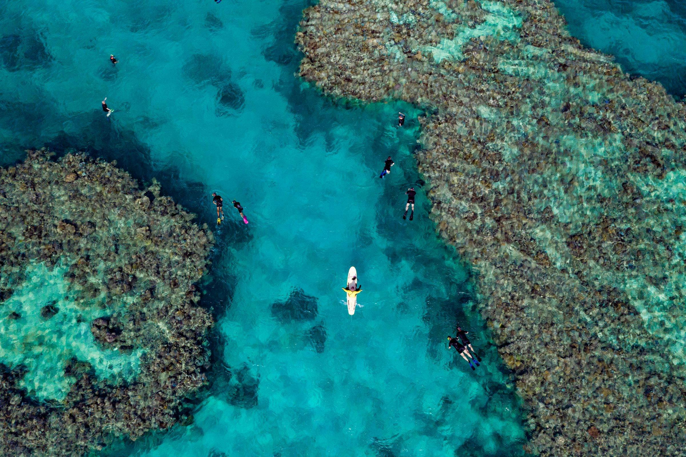 Birds eye view of snorkelers at the Great Barrier Reef