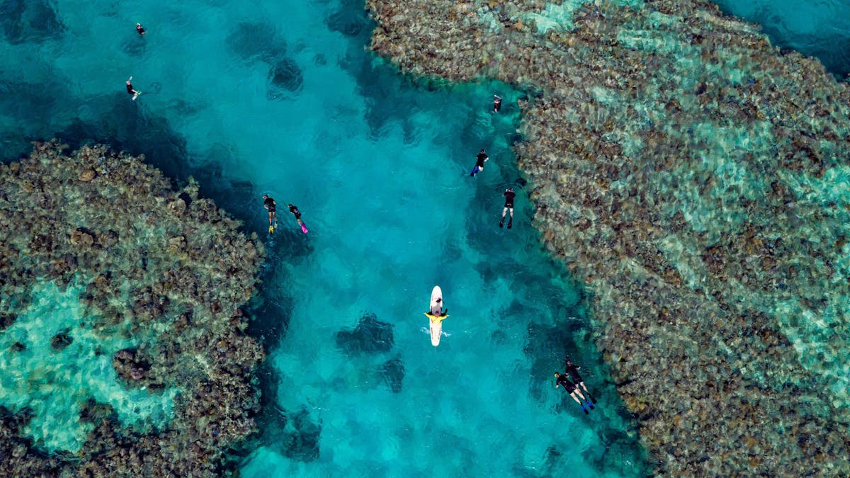 snorkelers at the Great Barrier Reef