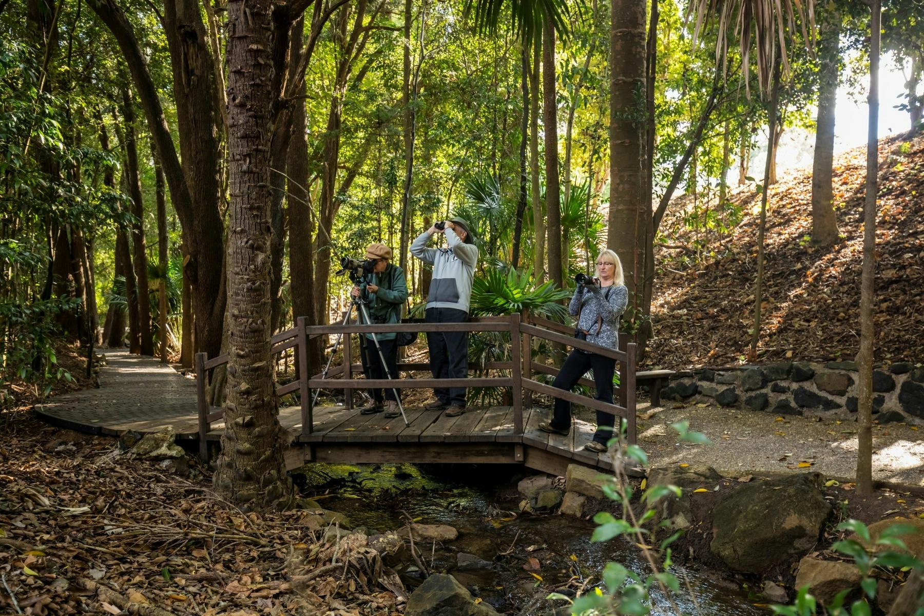 Nature Phone Photography Walk at Kholo Gardens